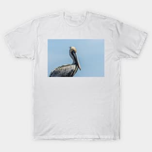 Brown pelican 2 T-Shirt